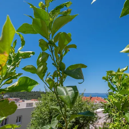 Apartament Sani Makarska