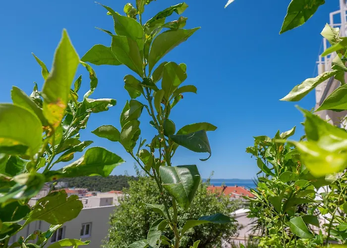 Apartament Sani Makarska