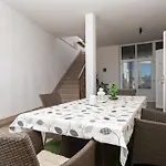 Sani *